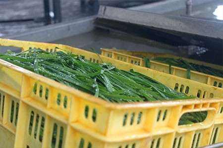 農副產品的加工