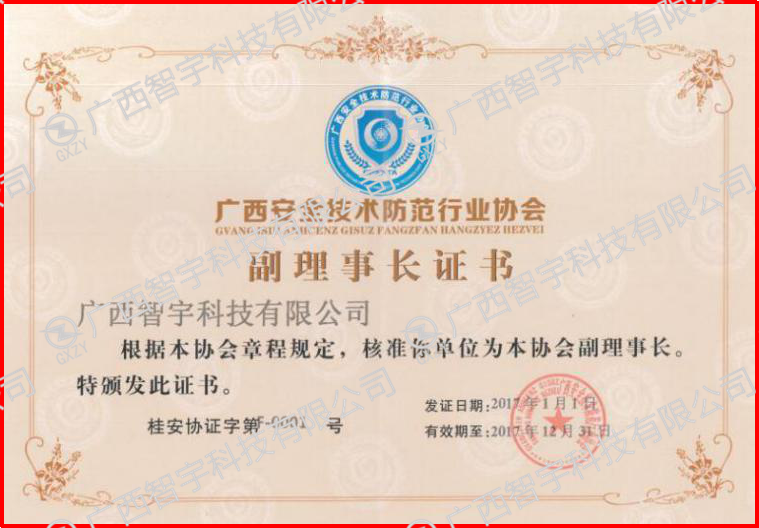 2017广西安全技术防范行业协会副理事长证书