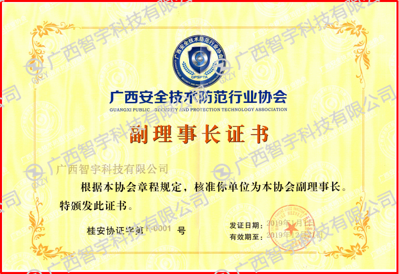 2019广西安全技术防范行业协会副理事长证书