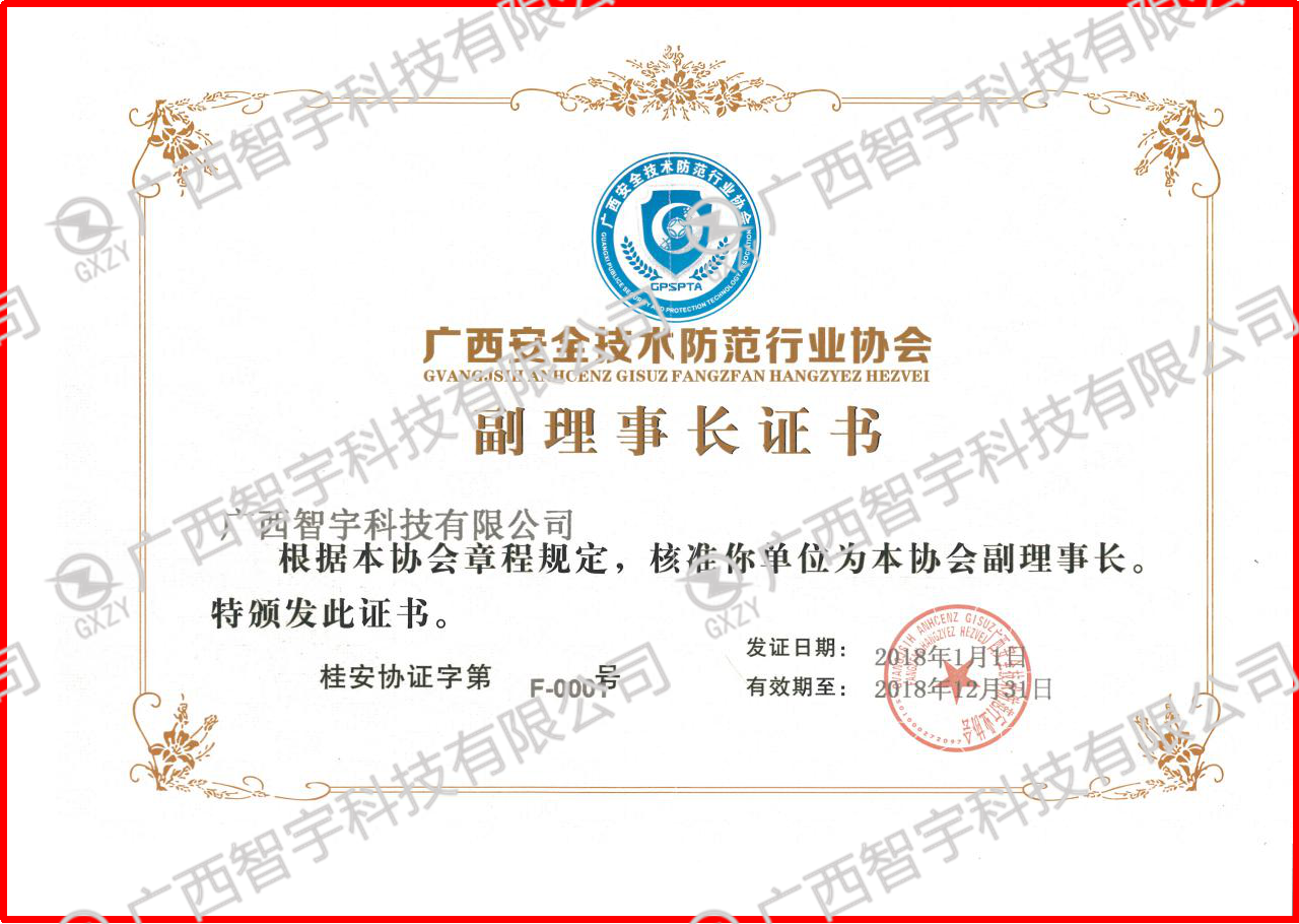2018广西安全技术防范行业协会副理事长证书