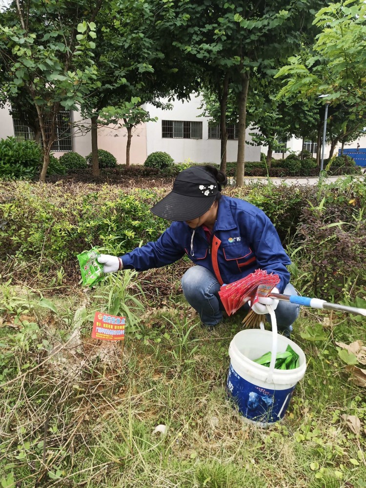 紅火蟻防治