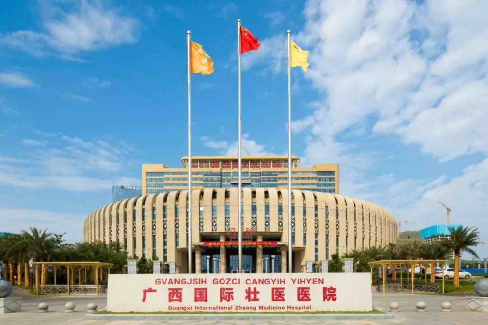 廣西國際壯醫醫院項目