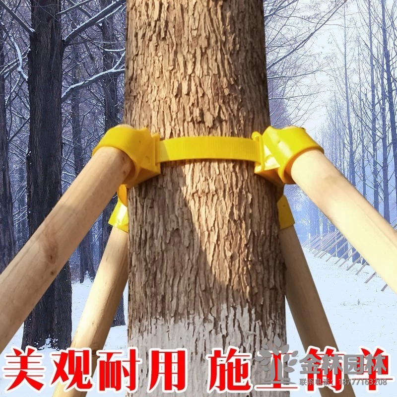 树木支撑器3