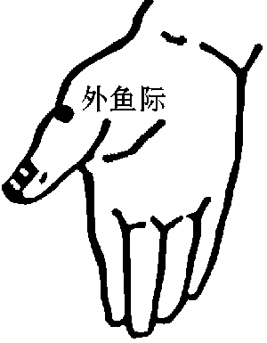 图片21.png