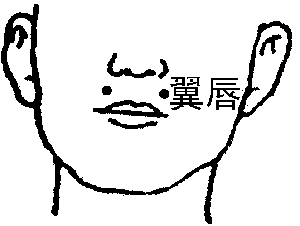 图片24.png