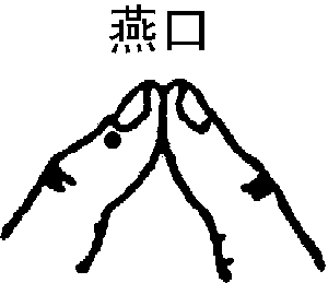 图片31.png
