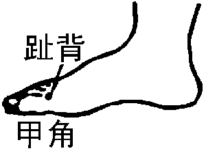 图片27.png