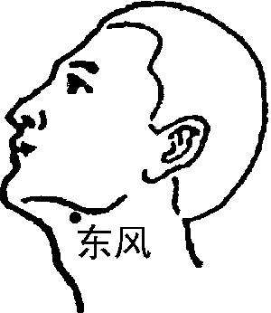 图片33.png