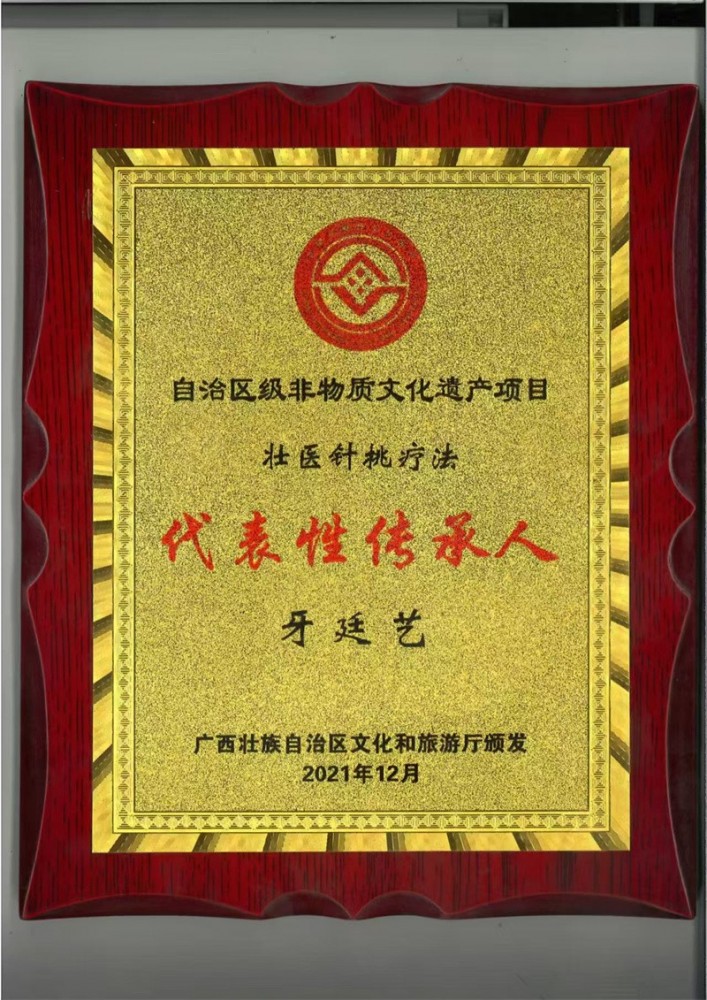 壮医针挑疗法代表性传承人牙廷艺