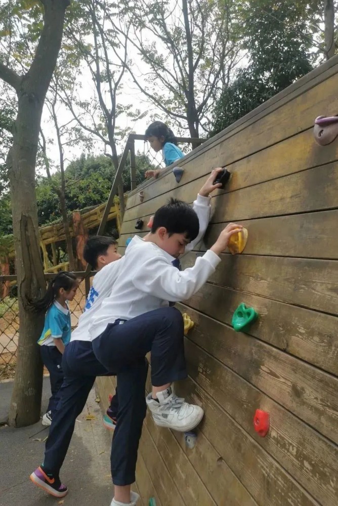 微信图片_20230303102946 微信图片_20230303102946