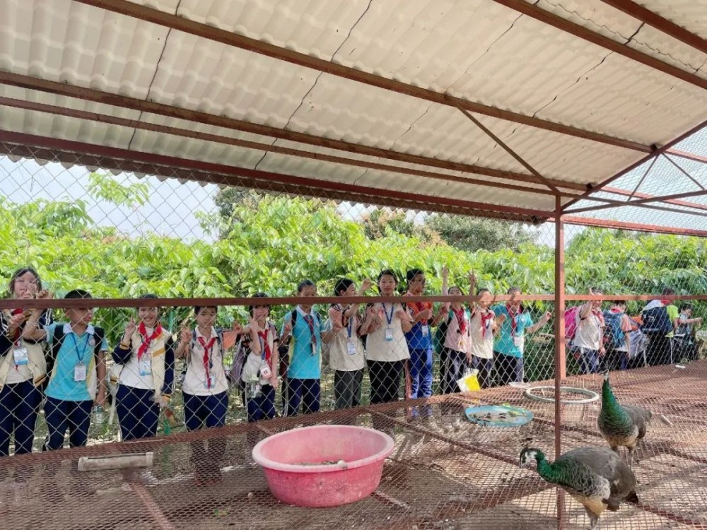 微信图片_20230315152831 微信图片_20230315152831