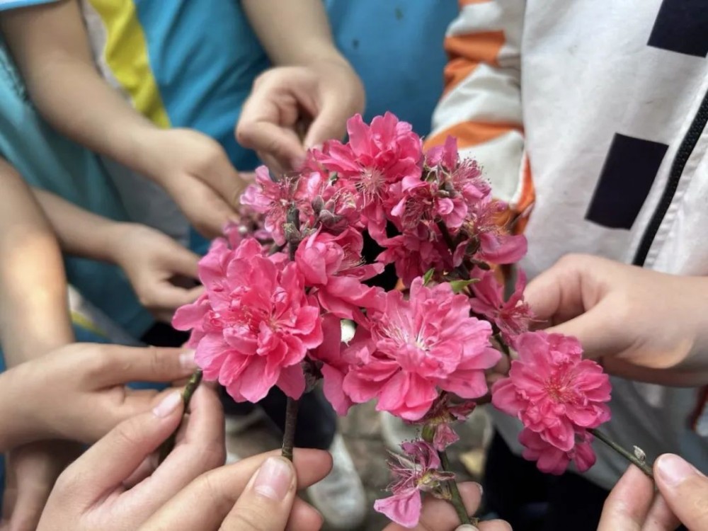 微信图片_20230315152745 微信图片_20230315152745