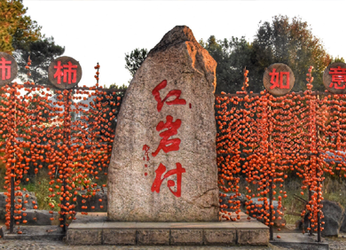 乡村振兴文化案例