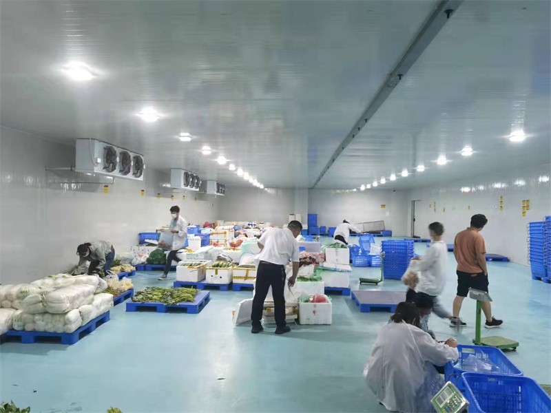 项目展示