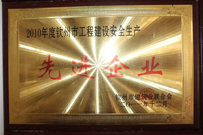 2010年工程建设安全生产先进企业