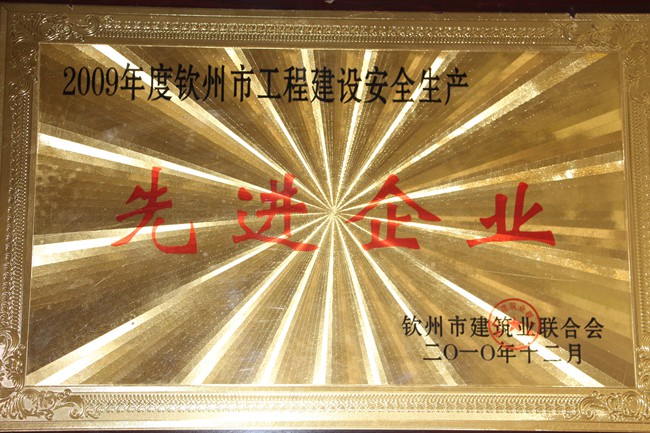 2009年安全生产先进企业