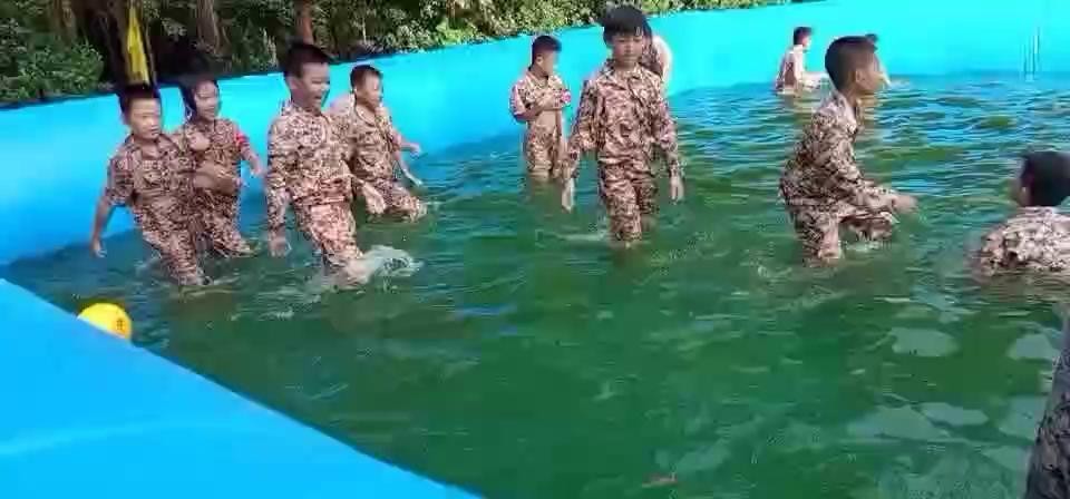 活动视频