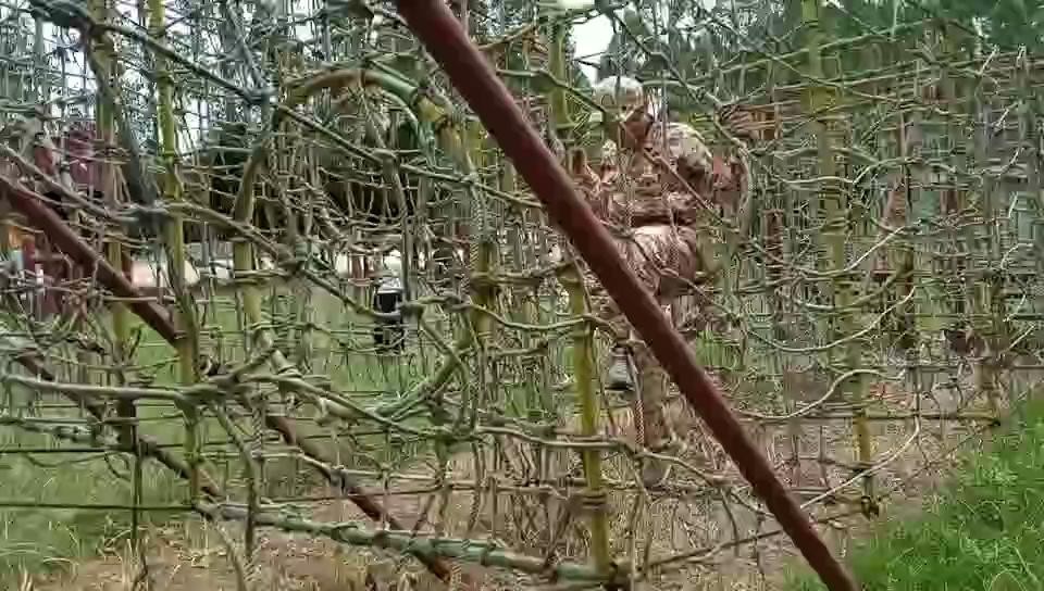 活动视频