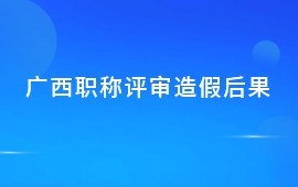 2022广西职称评价制度重大改革—广西职称评审造假后果