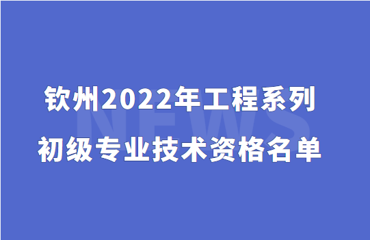 钦州2022工程系列初级专业技术资格名单,