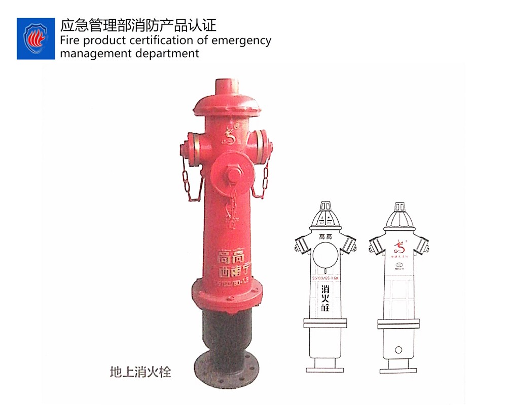 SS100/65-1.6地上消火栓