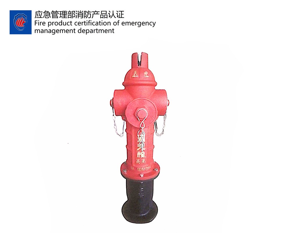 SSFD100/65-1.6防盗型地上消火栓