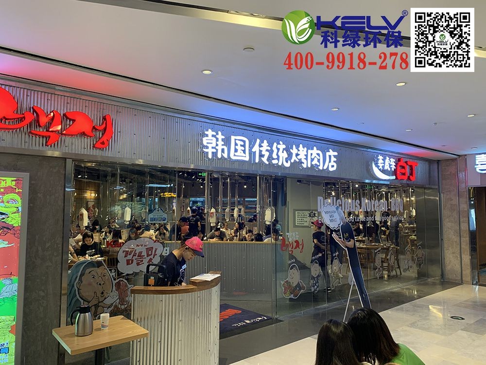 南宁市航洋国际城韩国传统烤肉店油烟净化工程项目1