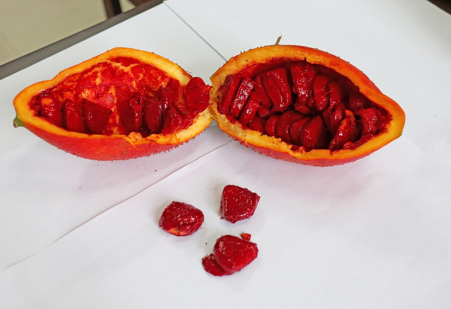 来自天堂的水果--木鳖子