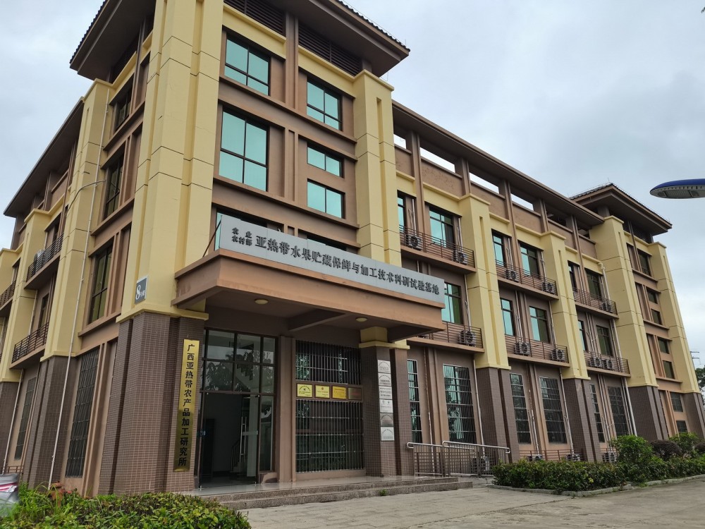 IMG_20250630_082231 IMG_20250630_082231