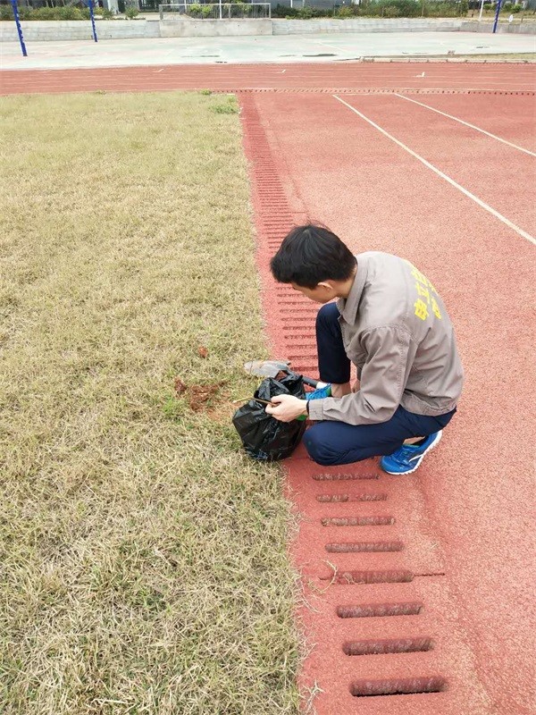 钦州操场白蚁防治