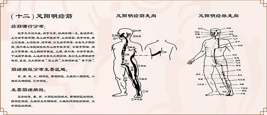 广西黄氏经筋健康管理有限公司