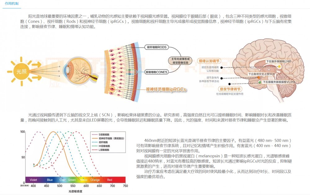 可見光模擬系統(tǒng)（LT-05b）
