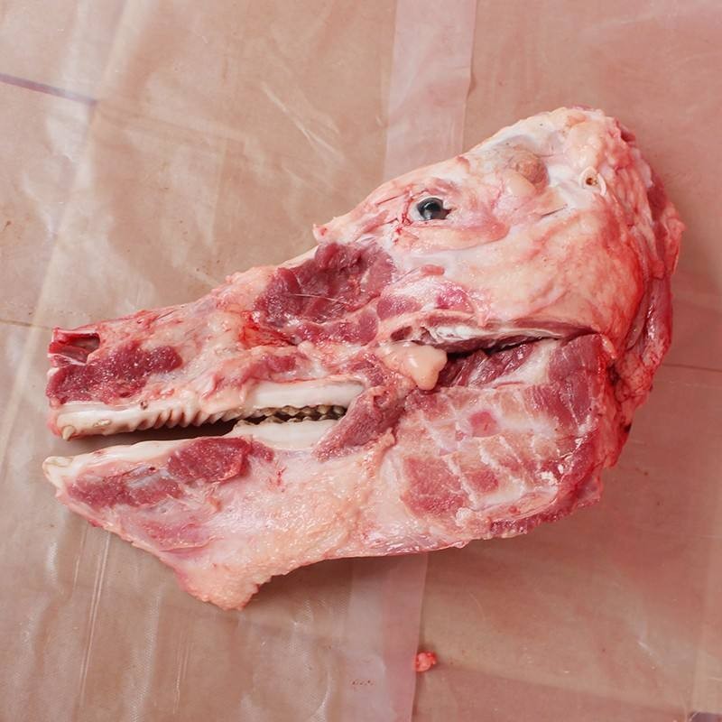 猪头骨 带肉