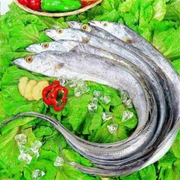 河池帶魚