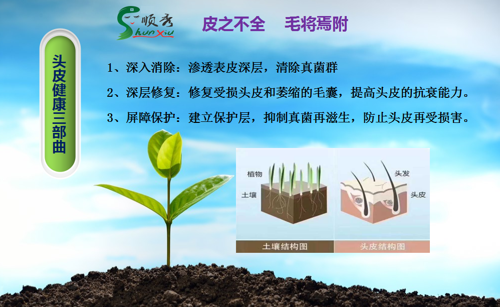 皮之不存毛將焉附