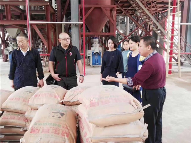 领导来厂指导工作
