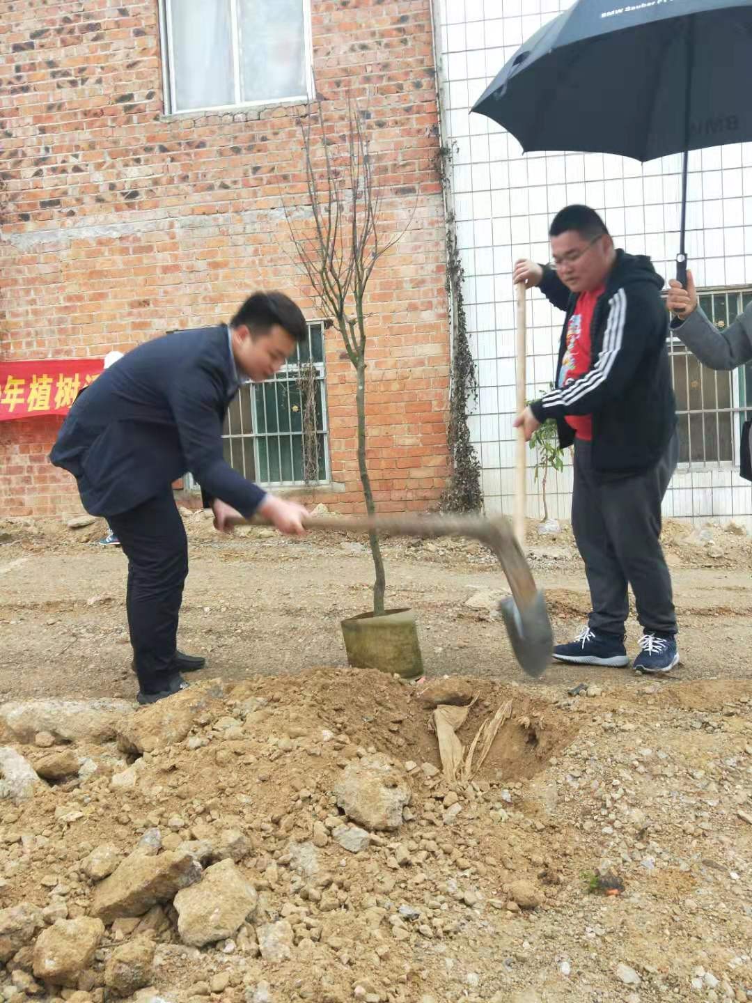 2019植樹節