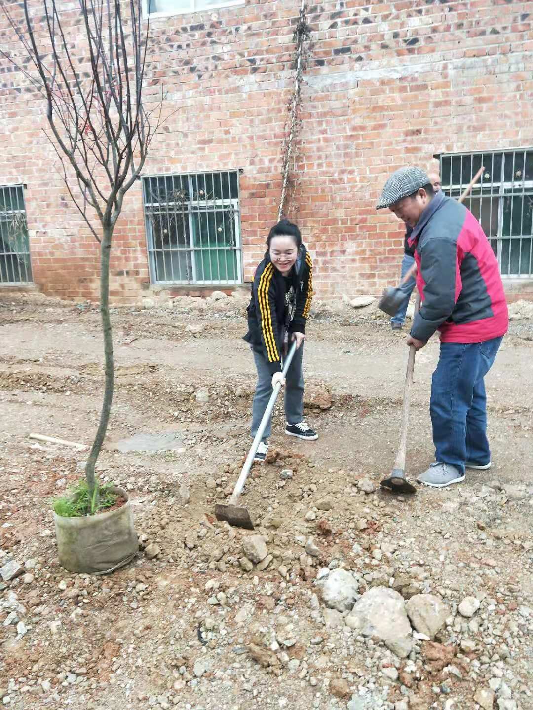 2019植樹節
