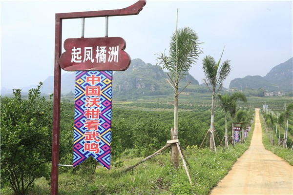 公司環(huán)境實(shí)景圖