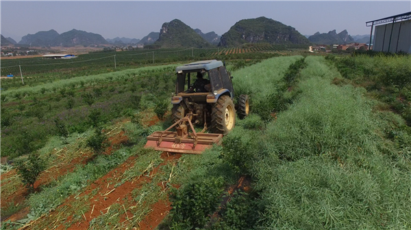 公司機(jī)械化種植圖