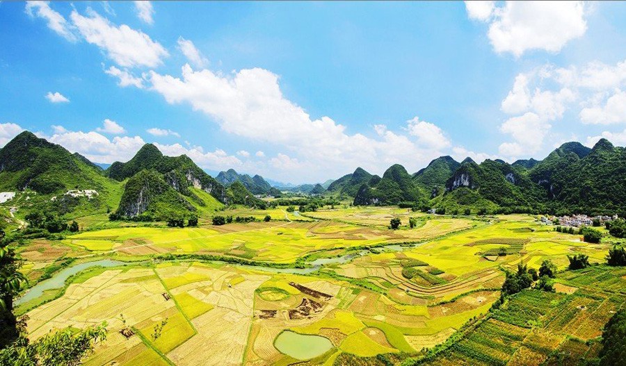 马山：中国“黑山羊之乡”