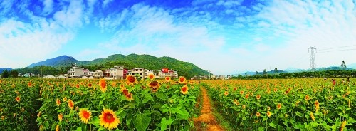 图片2