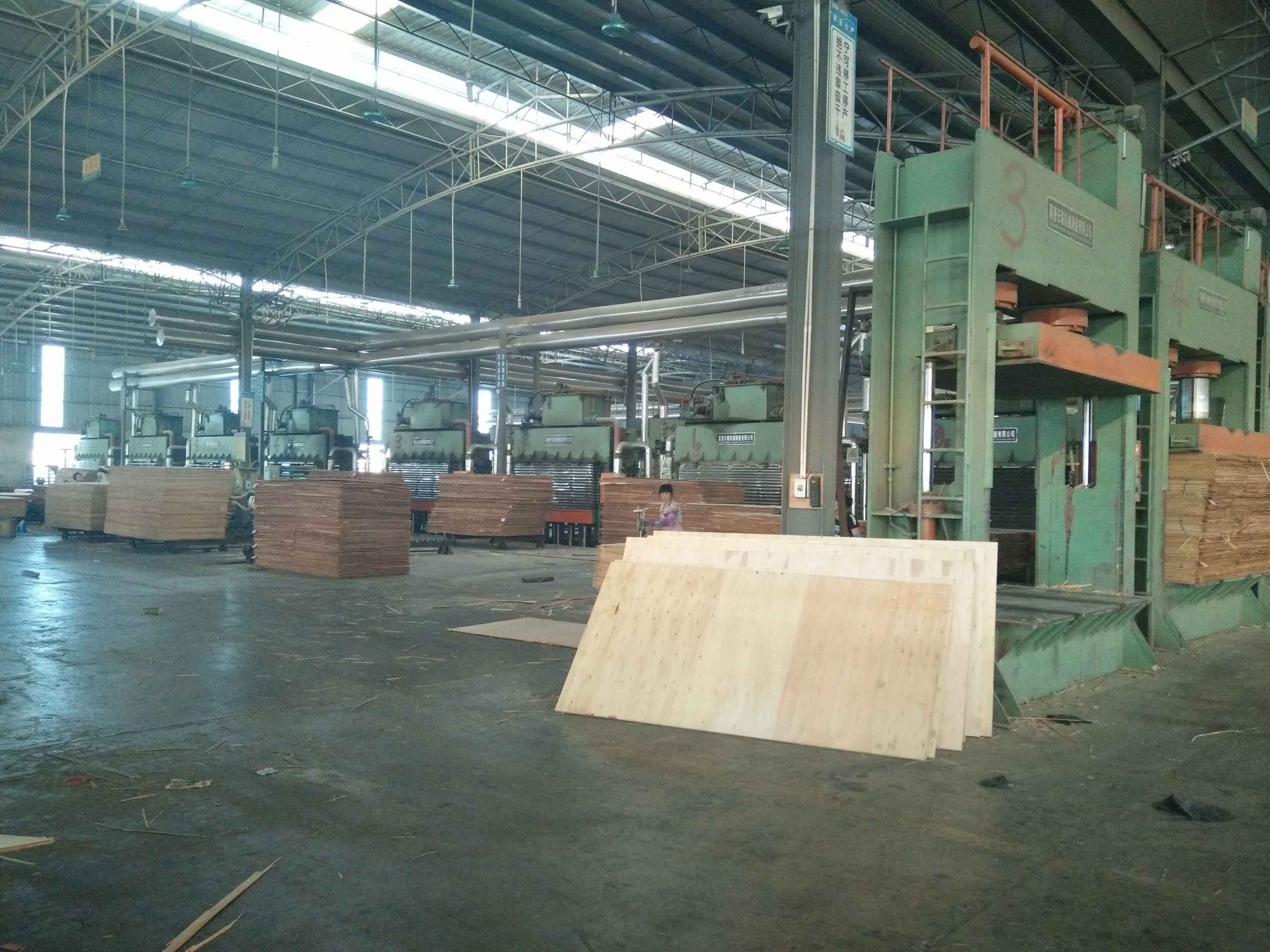 建筑木模板生产机器图片
