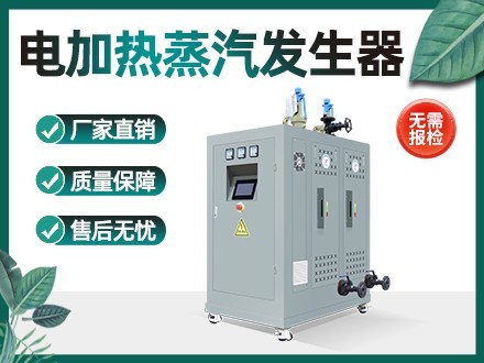 电加热蒸汽发生器