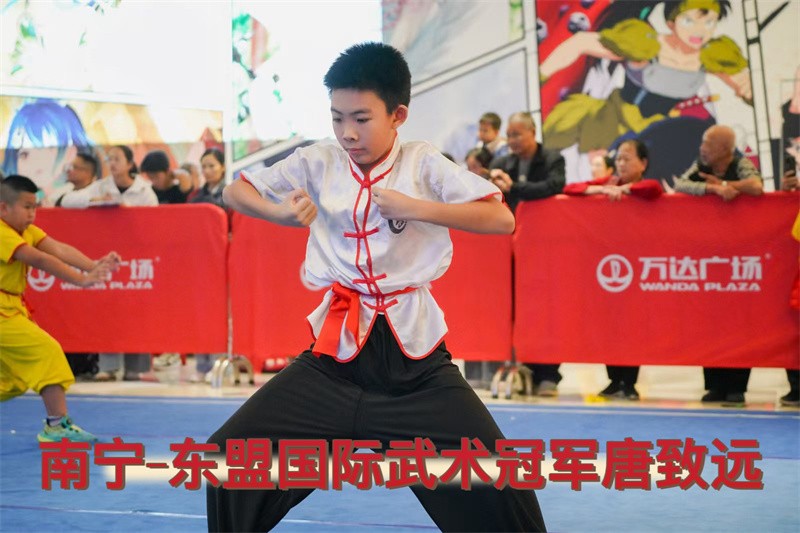 南宁-东盟国际武术冠军唐致远